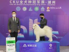 欧洲顶级篮球俱乐部获得冠军头衔